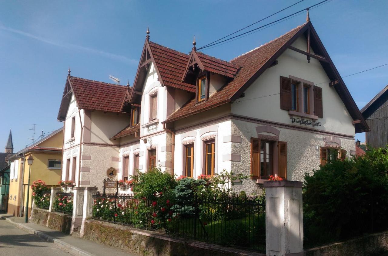 Gites Au Pied Du Haut-Koenigsbourg Kintzheim Esterno foto